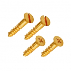 brass screws